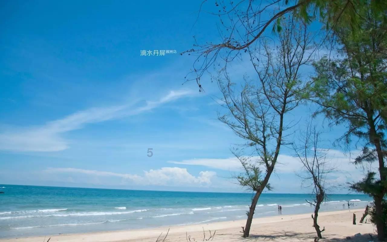 植物大战僵尸4